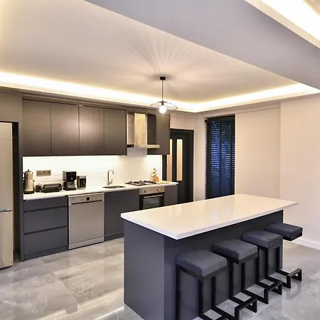 No:22 House Villa *